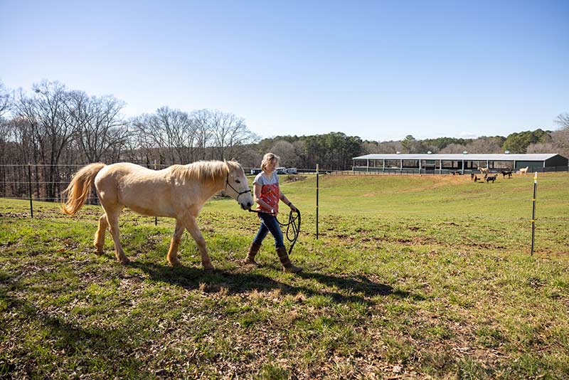 Photo of Lauren Christian walking alongside a horse through a field